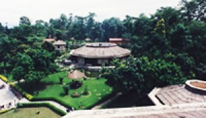 Hotels in Chitwan